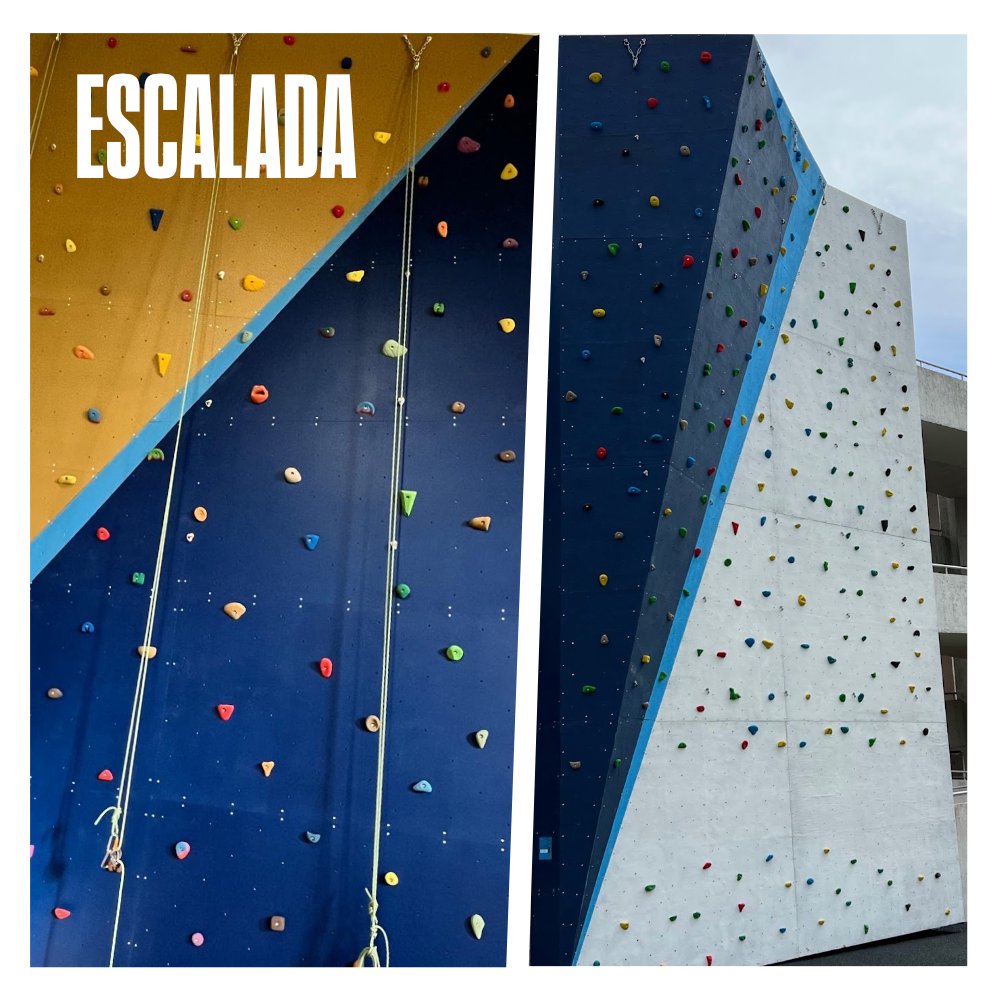 Paredes de escalada Grip and Climb para escolas e projetos municipais