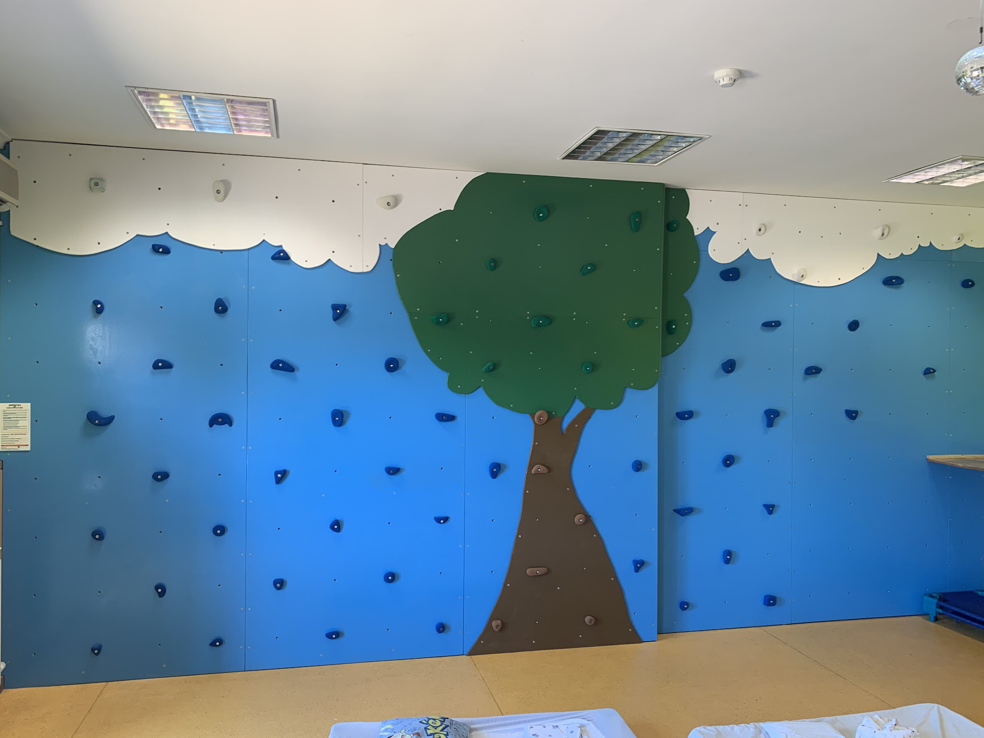 Boulder de contraplacado marítimo de bétula