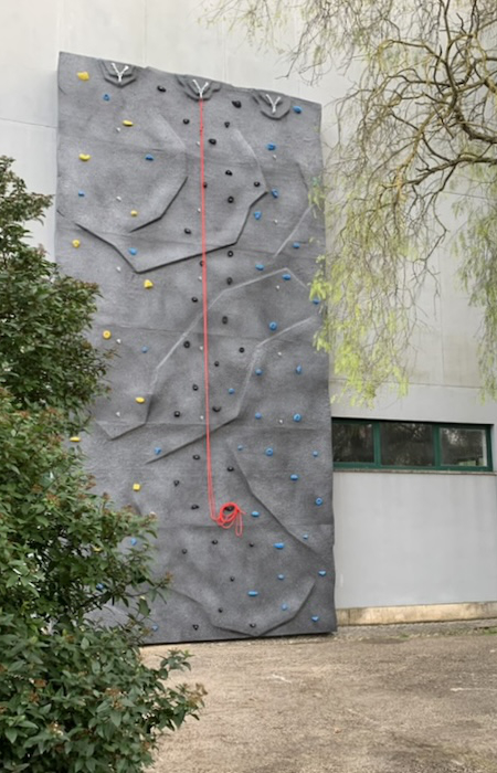 Parede de contraplacado marítimo de bétula